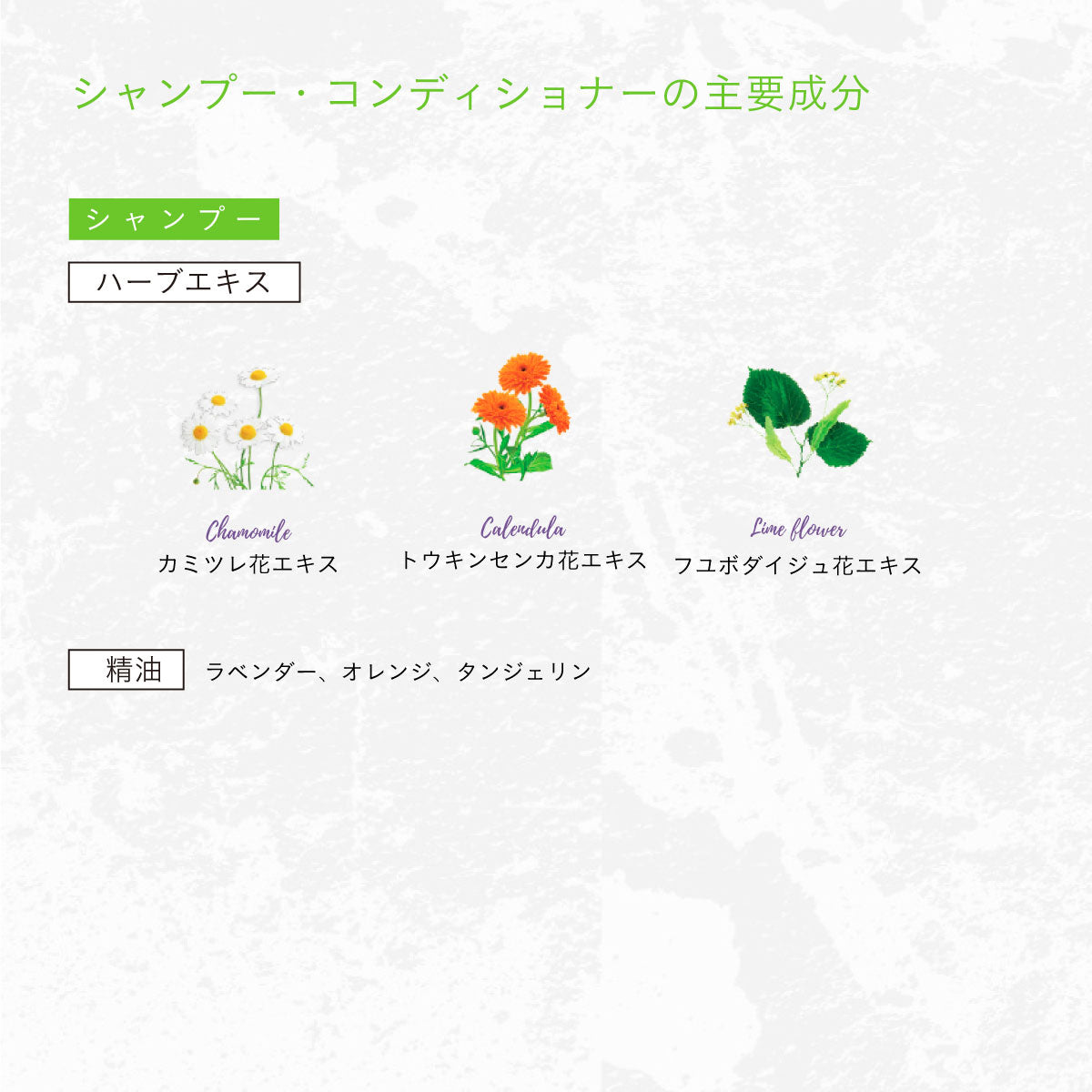 HERBANICA シャンプー500ml (ジェントル)