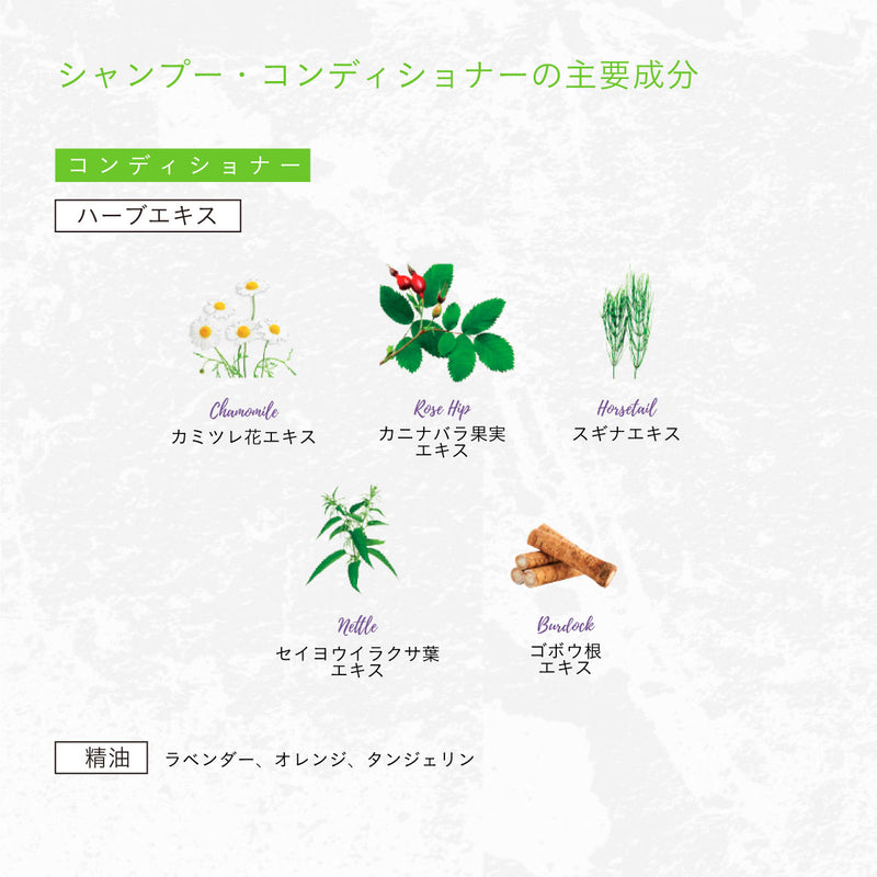 HERBANICA シャンプー500ml (ジェントル)