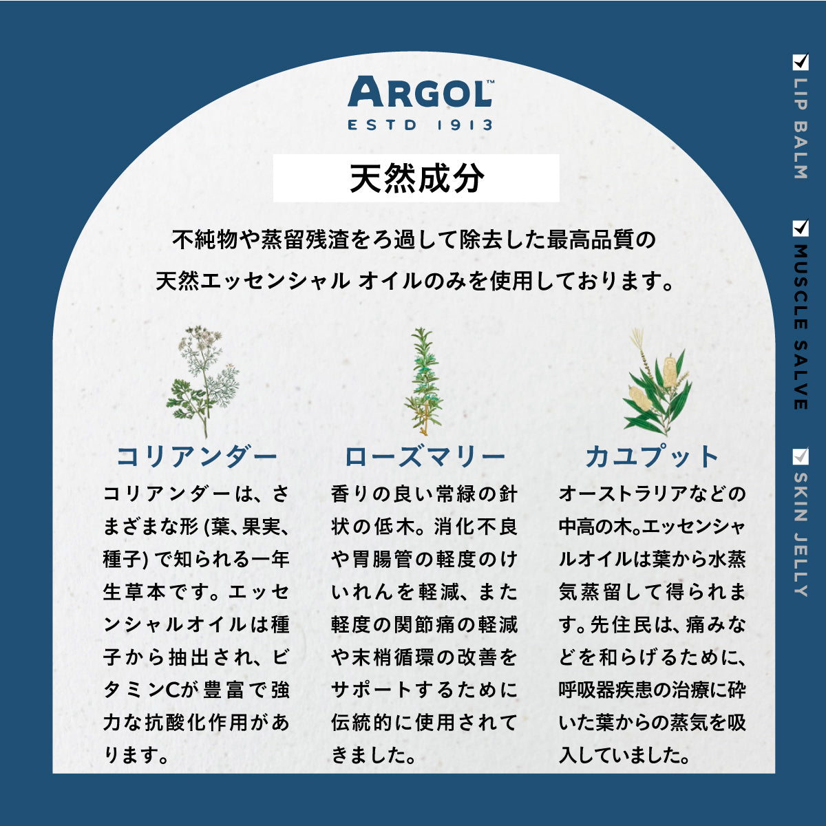 ARGOL マッスルサルヴ 40g