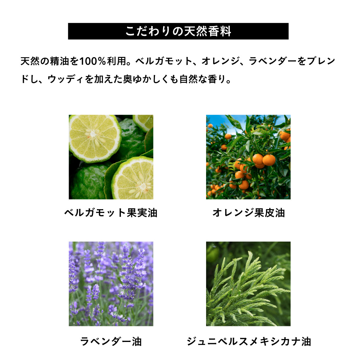 Cinque トリプルシードヘアオイル 45ml