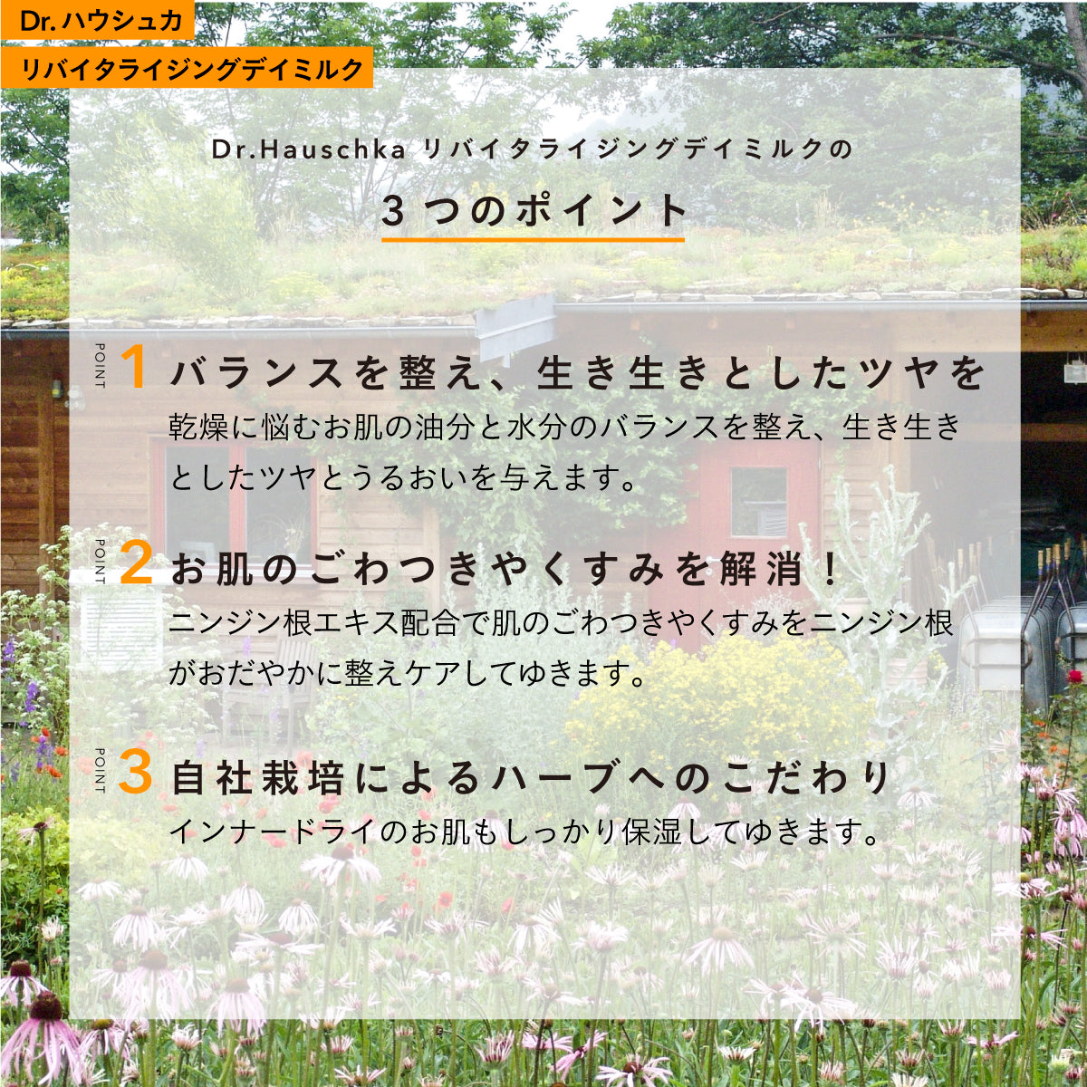 Dr.Hauschka リバイタライジングデイミルク 50ml