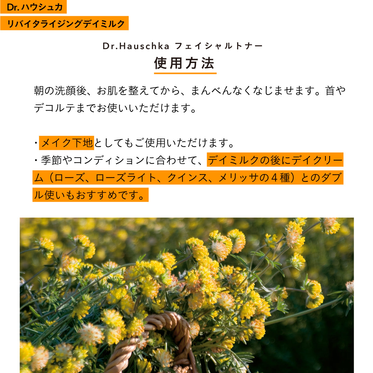 Dr.Hauschka リバイタライジングデイミルク 50ml