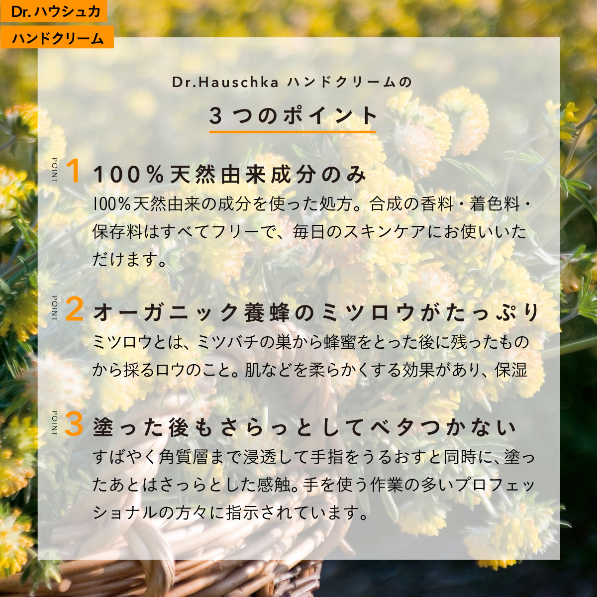 Dr.Hauschka ハンドクリーム 50ml