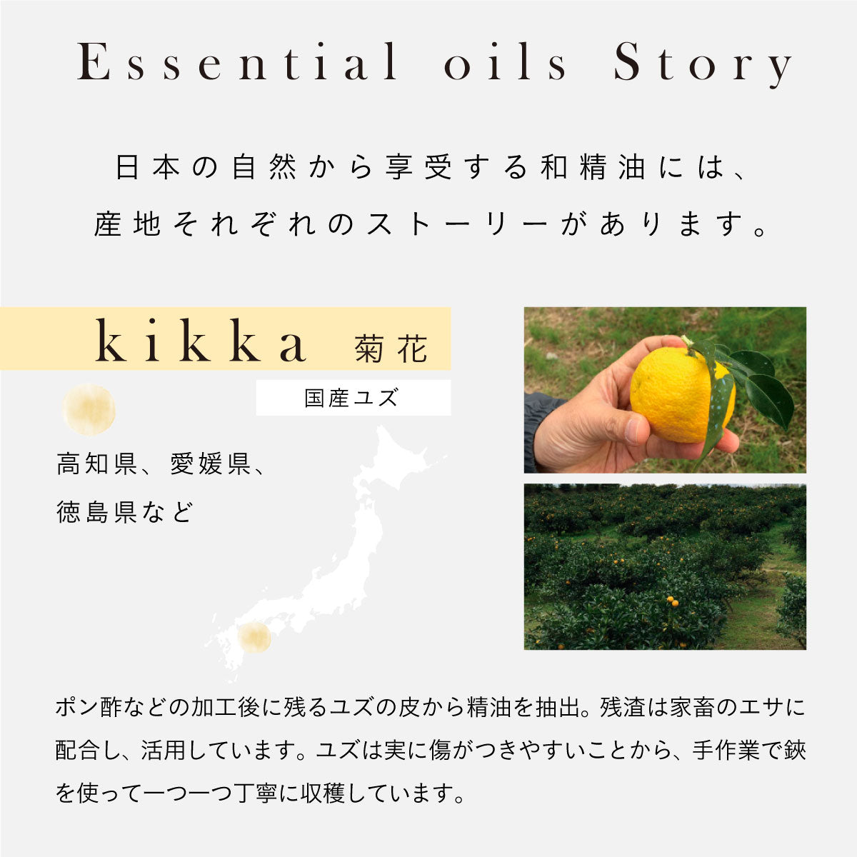 hana to mi ハーブバスソルト 40g kikka|バスソルト ギフト 高級 個 hana to mi ハーブバスソルト 40g kikka|バスソルト ギフト 高級 個