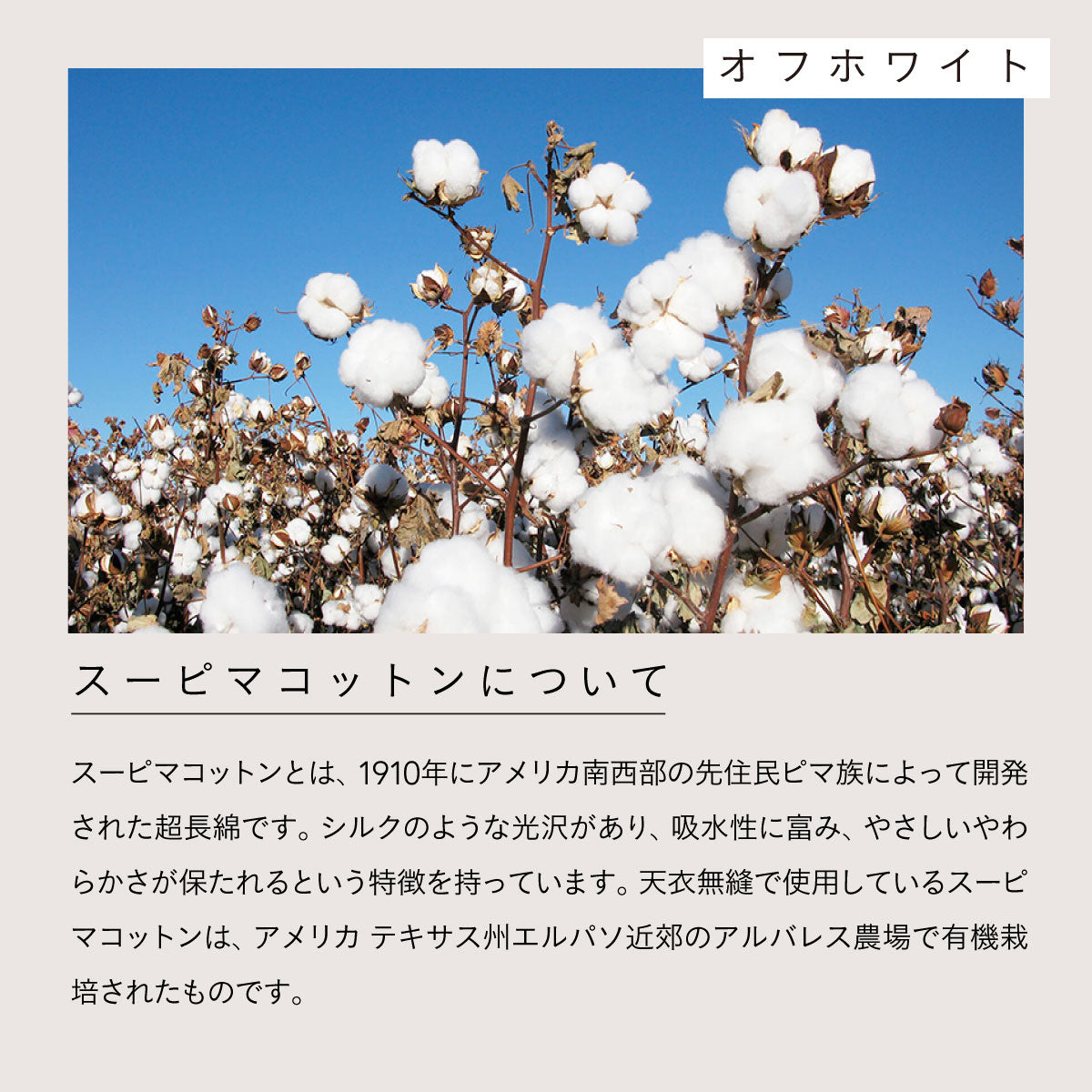 天衣無縫 リブカップ付きキャミソール グレー