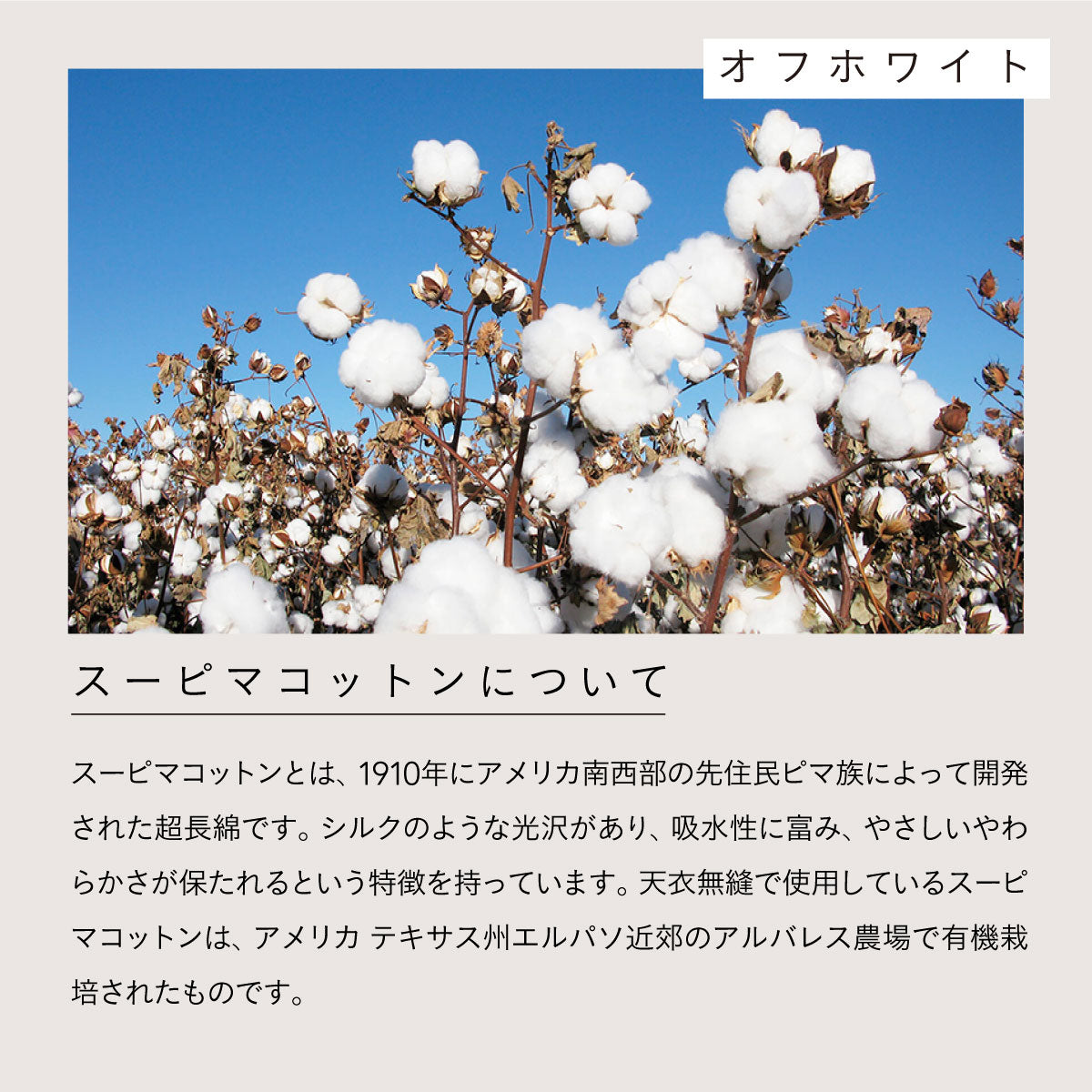 天衣無縫 リブカップ付きタンクトップ オフホワイト