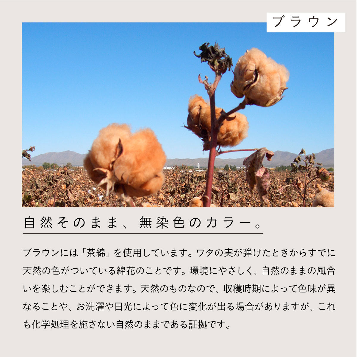 天衣無縫 リブカップ付きタンクトップ オフホワイト