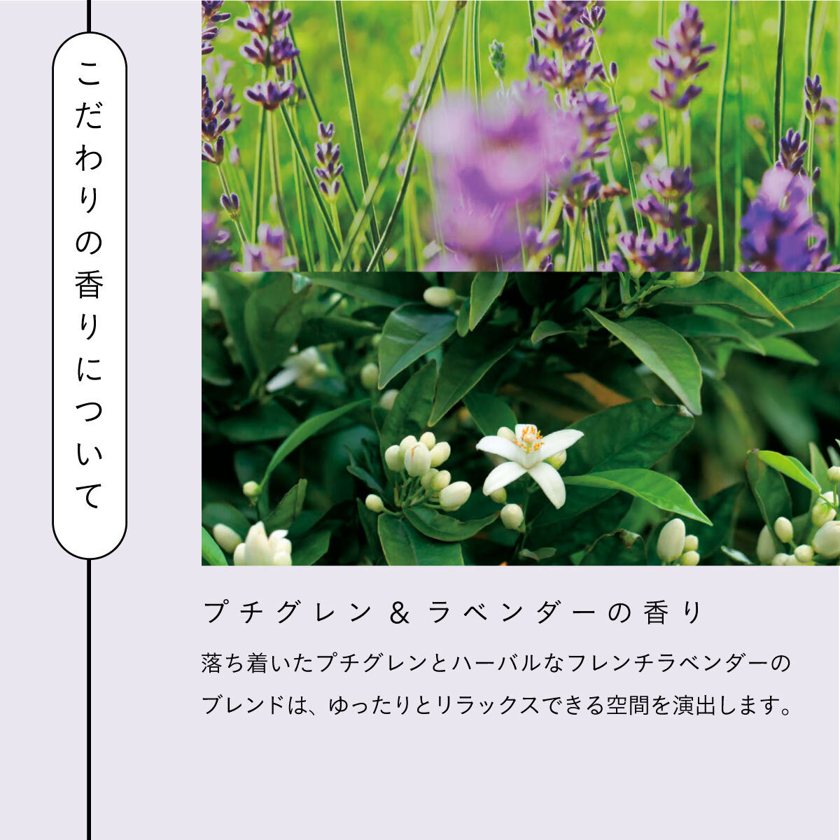 Aroma Works グラス入りキャンドル S レモングラス&ベルガモット