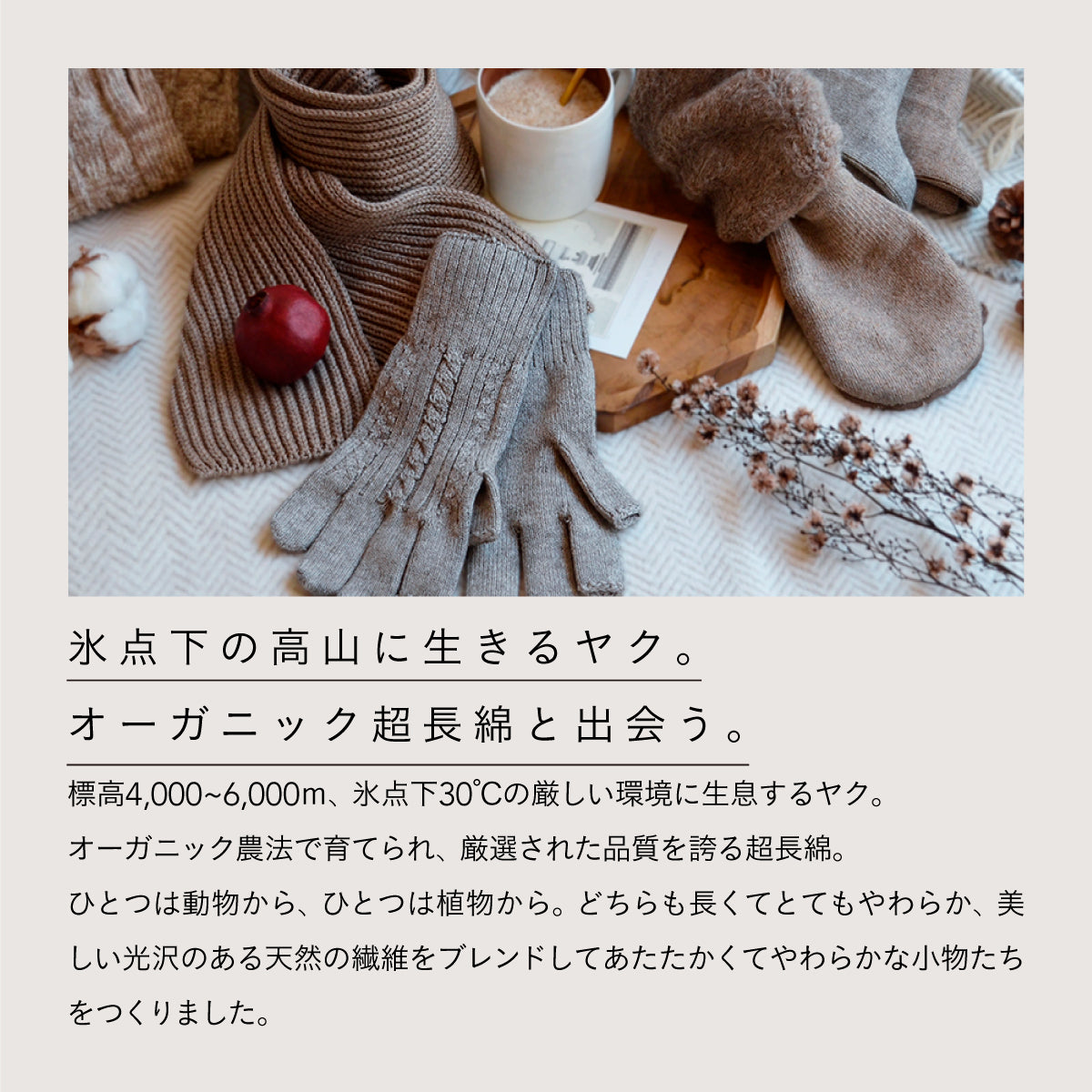 天衣無縫 ヤクとオーガニックコットン おやすみニットパンツ BR (ブラウン)