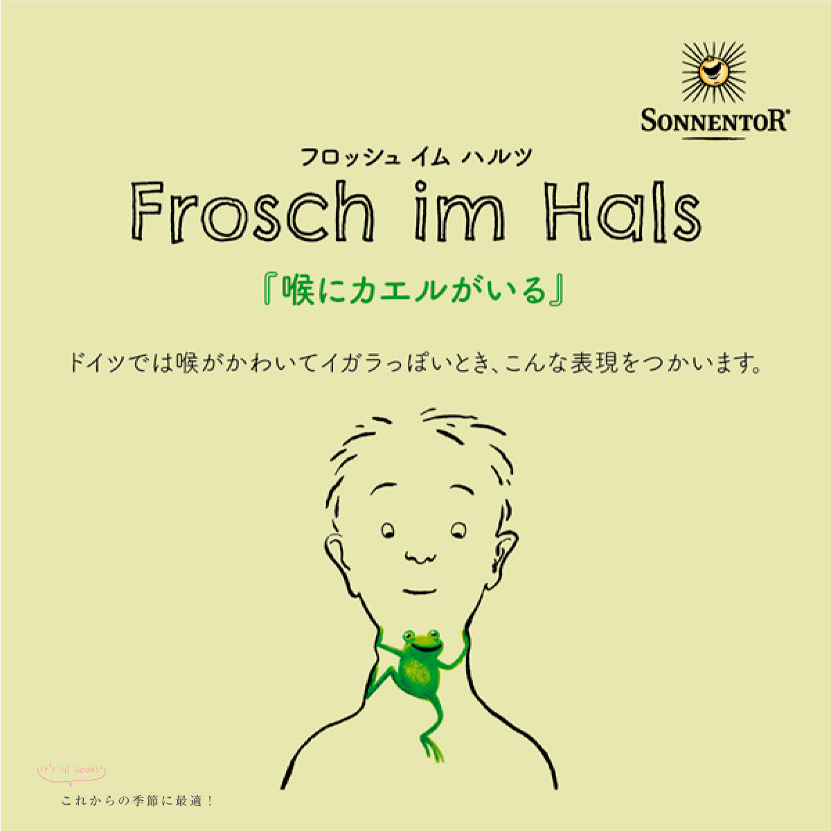 ゾネントア スロート ハーブティー