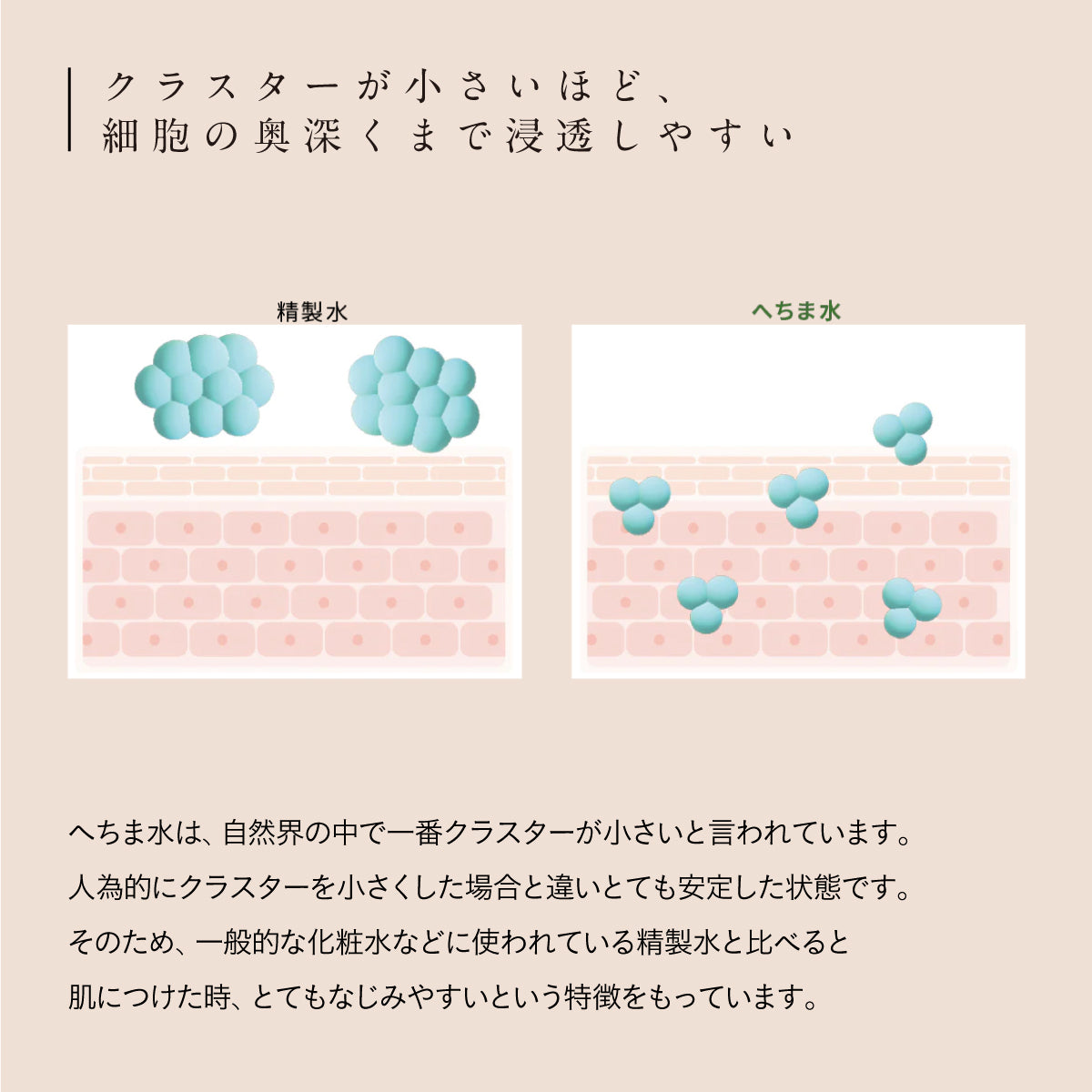 へちまここちスキンケアセット3点セット【B】/へちまローション/はちみつ茶石けん/馬油