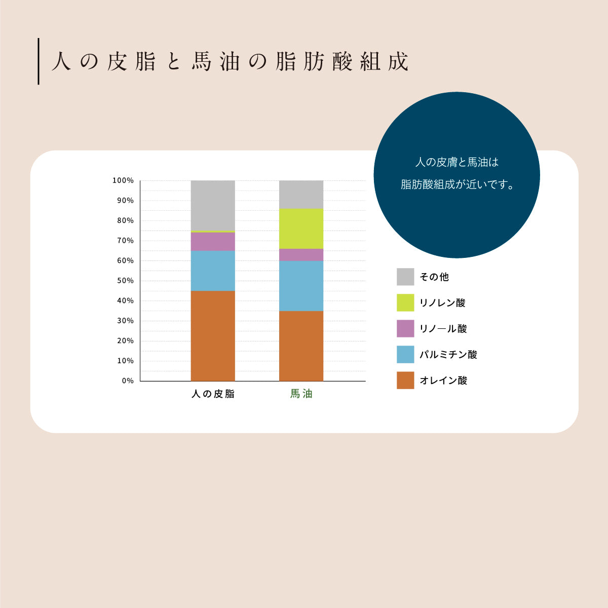 へちまここち国産へちま馬油クリーム 52ml