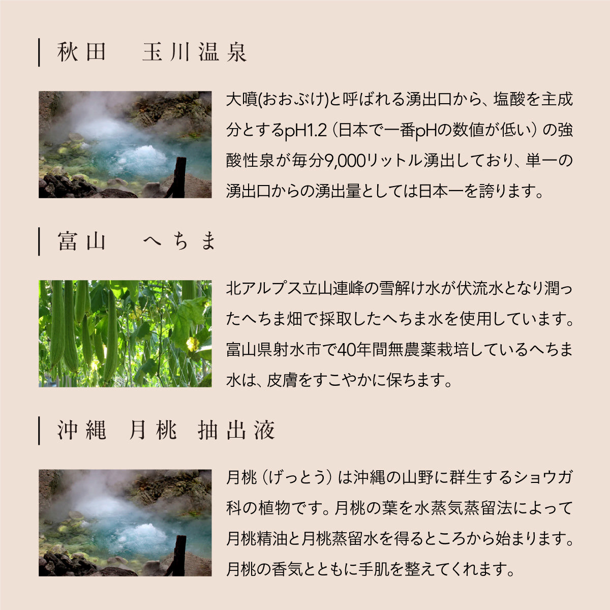 へちまここち月桃の香り スプレー＆馬油小サイズセット