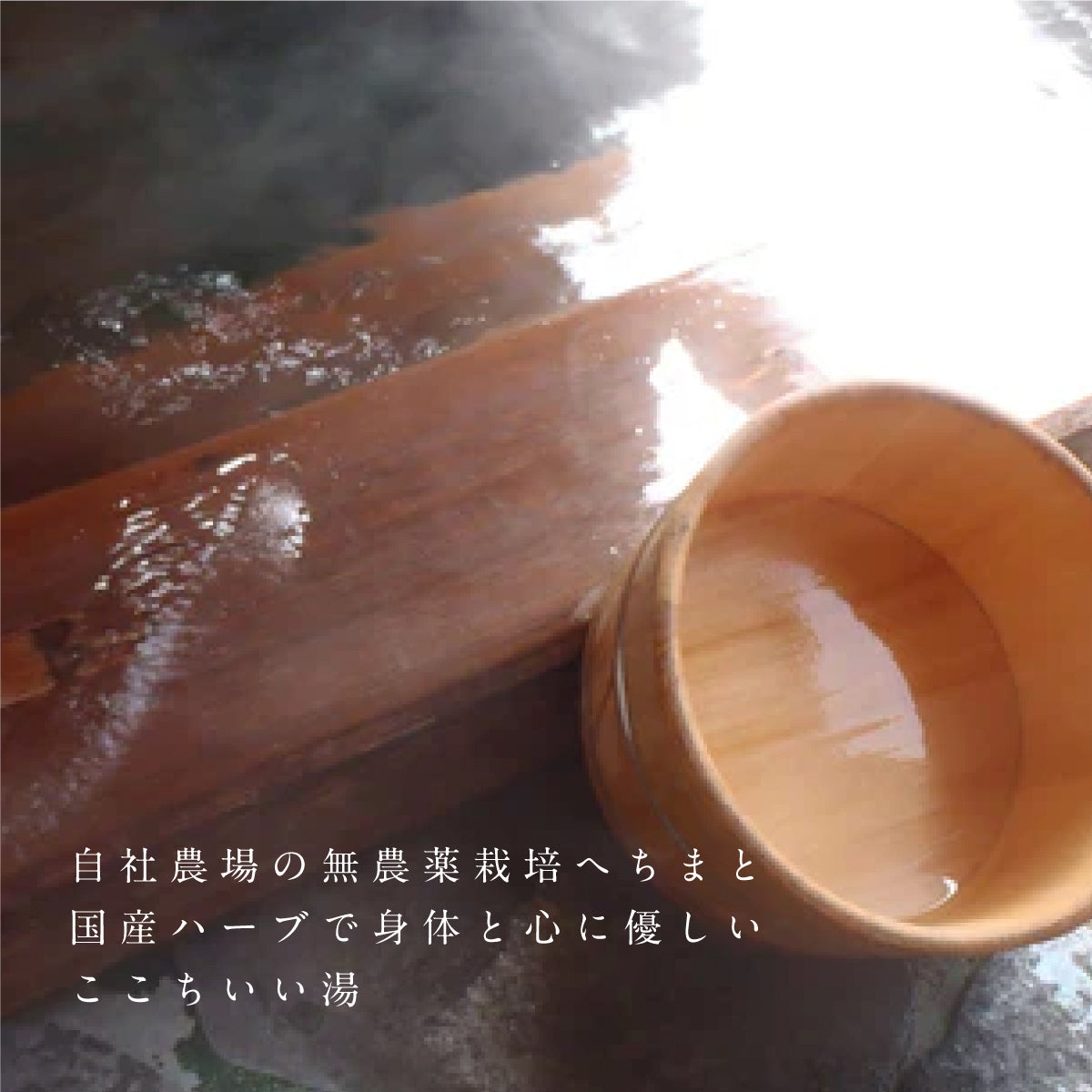 へちまここち 国産へちま葉と国産ハーブのここちいい湯 1袋25g入り