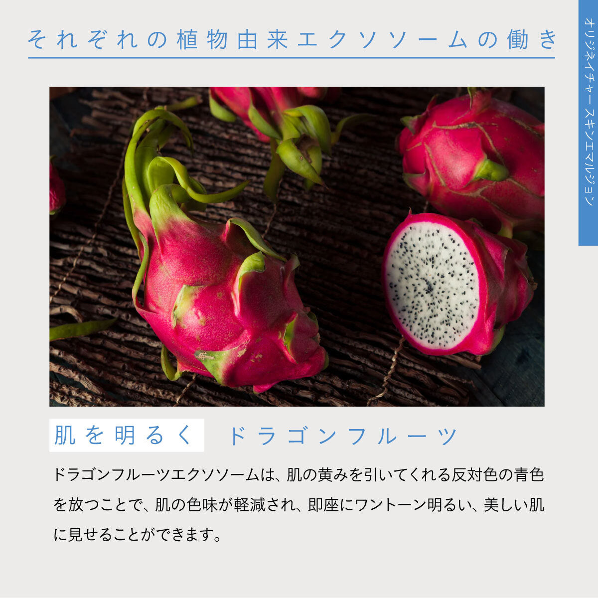 ORIG’NATURE スキンエマルジョン 200ml