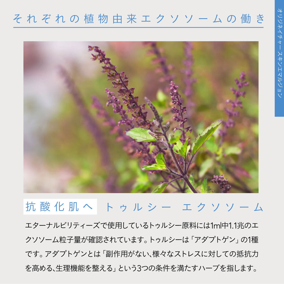 ORIG’NATURE スキンエマルジョン 200ml