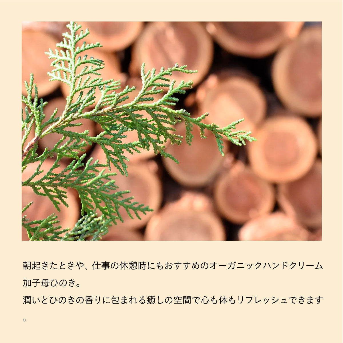 WANOWA ハンドクリーム 3種セット