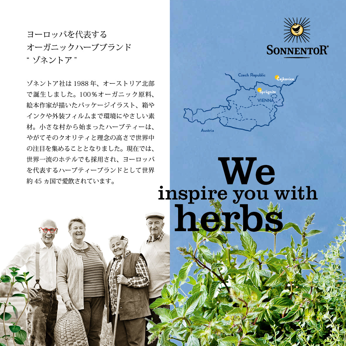 ゾネントア ネトルティー 18袋入り