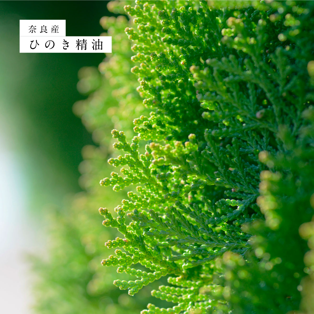 hiroha さくらひのき マルチバーム＆バスソルトセット