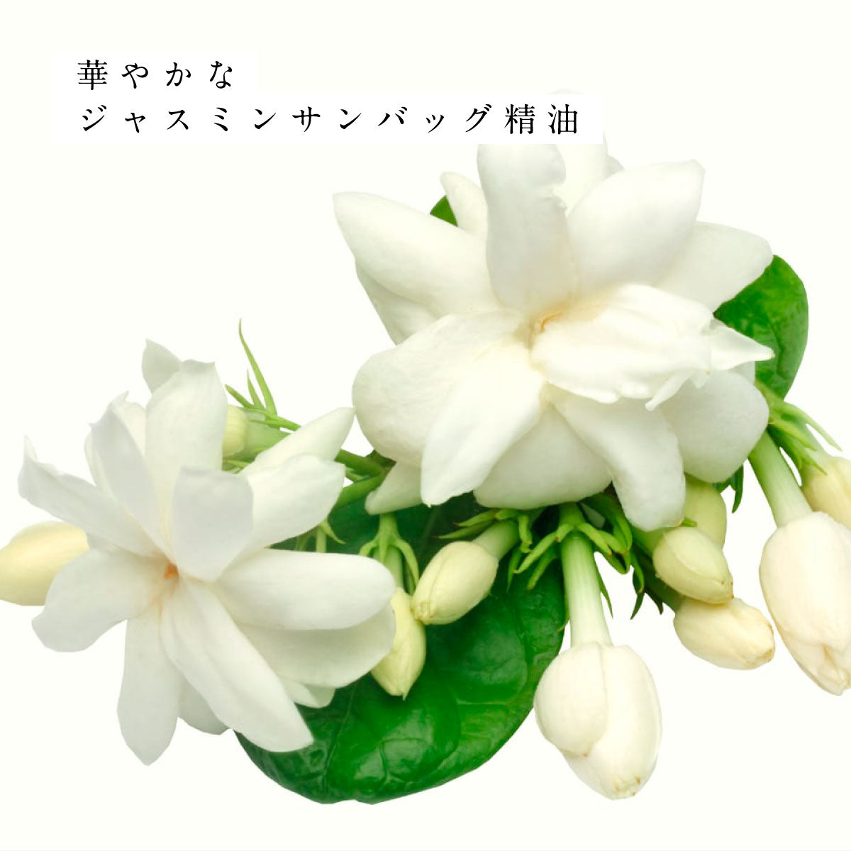 hiroha マルチバーム 15g レモンジャスミン