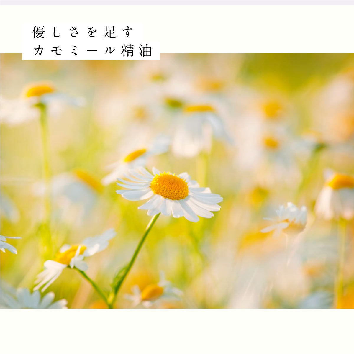 hiroha マルチバーム 15g ひばサンダルウッド