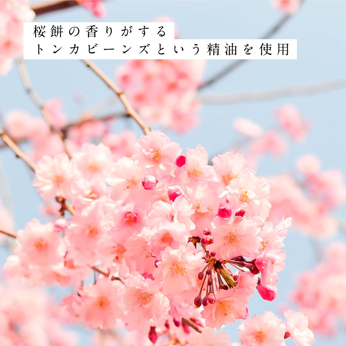 hiroha バスソルト 120g さくらひのき