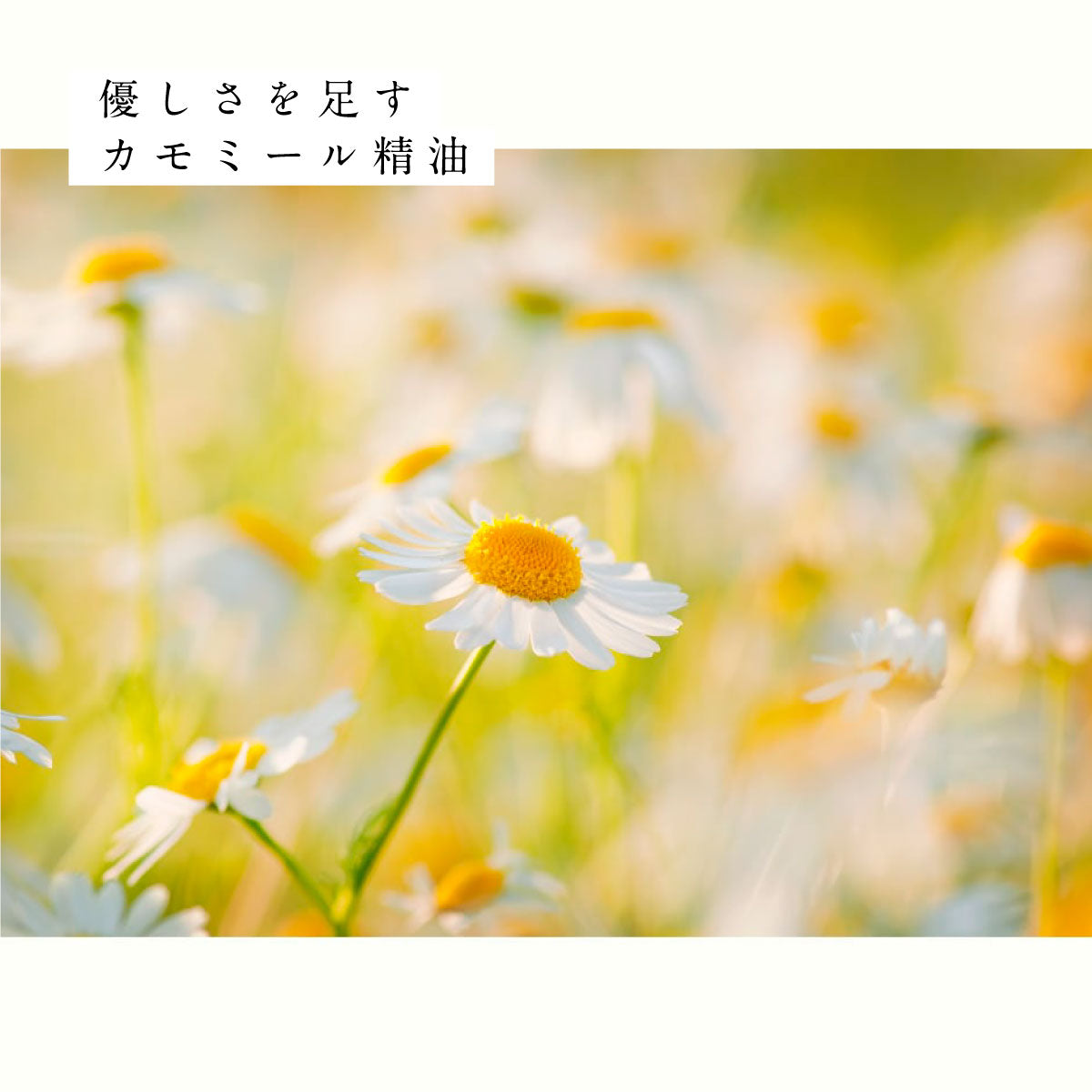 hiroha バスソルト 120g ひばサンダルウッド