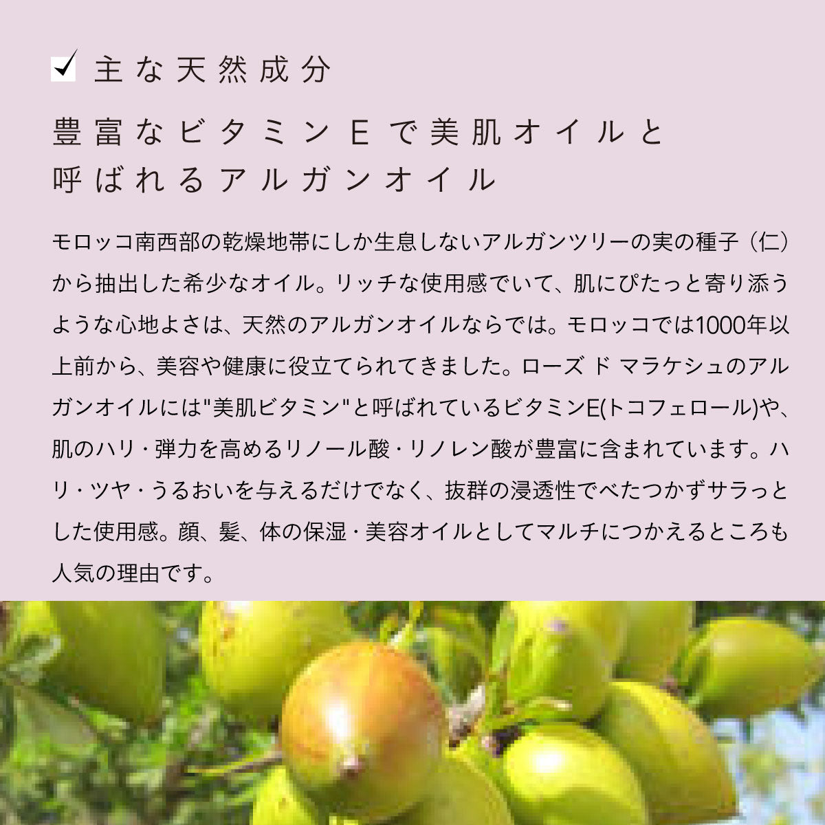 Rose de Marrakech モイスチャークリームローズ 100ml