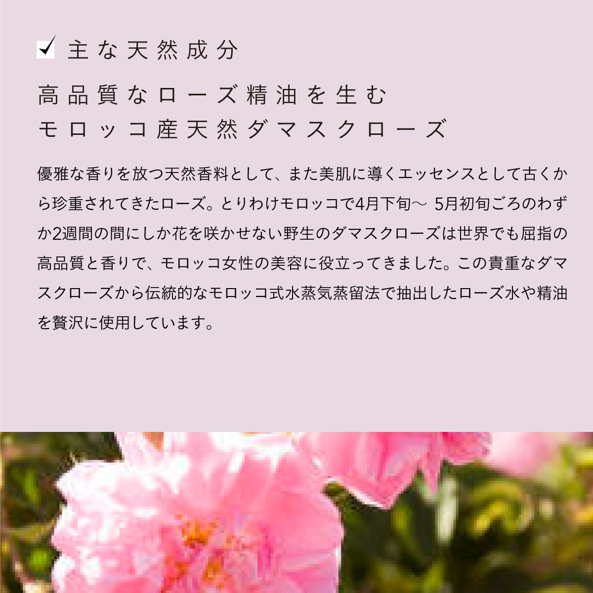 Rose de Marrakech モイスチャークリームローズ 100ml
