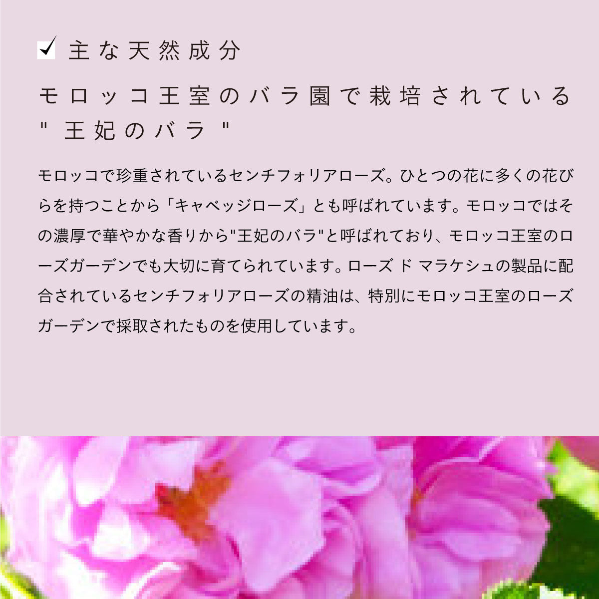 Rose de Marrakech モイスチャークリームローズ 100ml