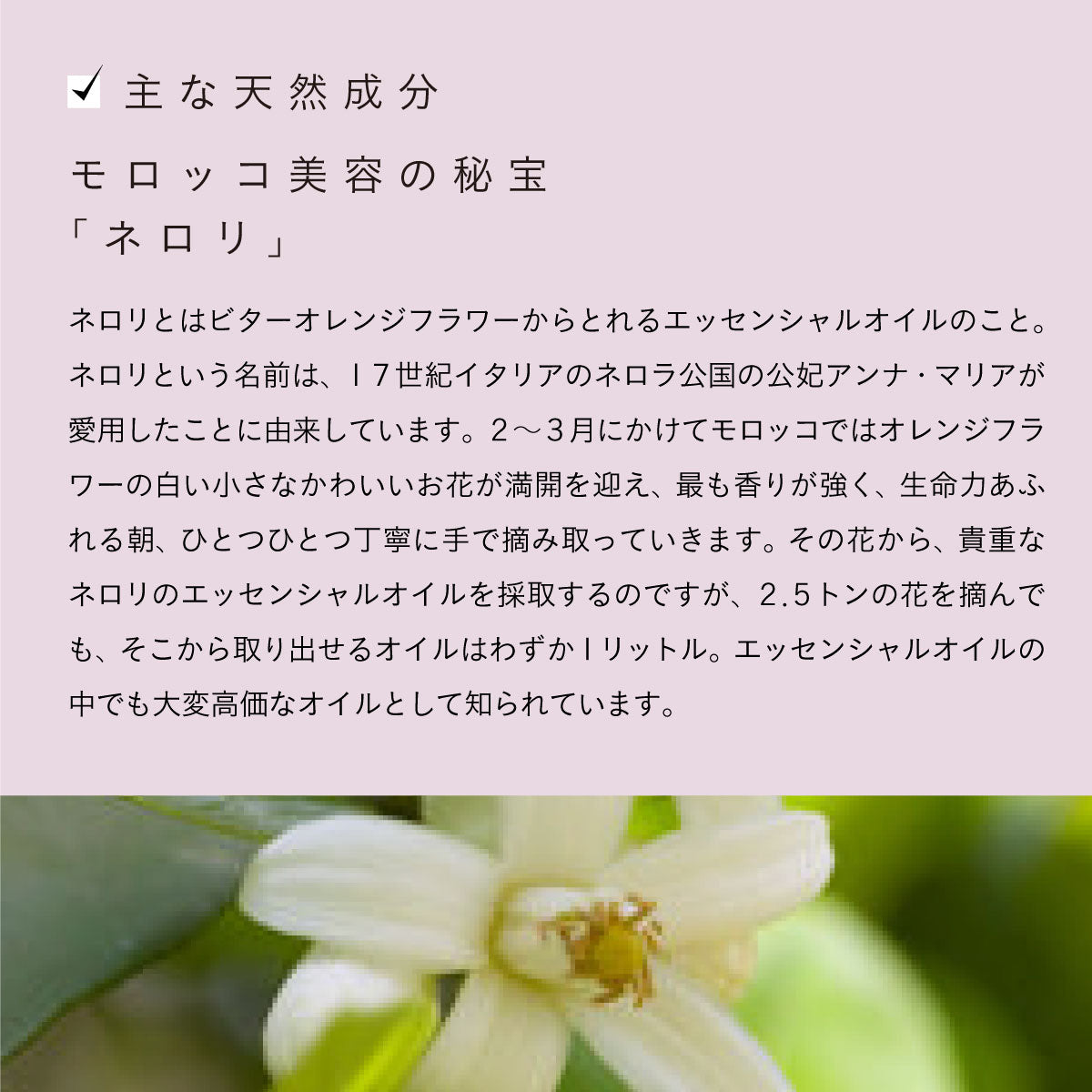 Rose de Marrakech フローラルリッチローション ネロリ 100ml｜