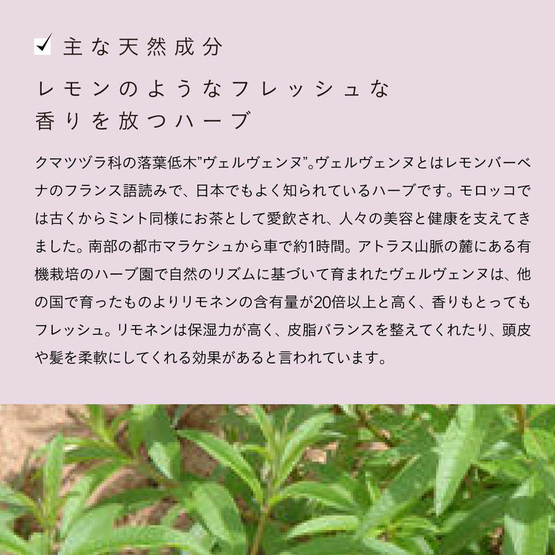 ROSE DE MARRAKECH フローラルリッチローション ヴェルヴェーン 150ml