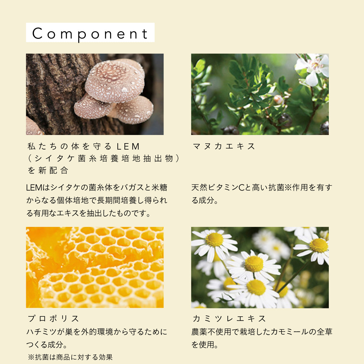 だいじょうぶなもの マヌカ＆レザーウッドハニースプレー グレープ味 25ml