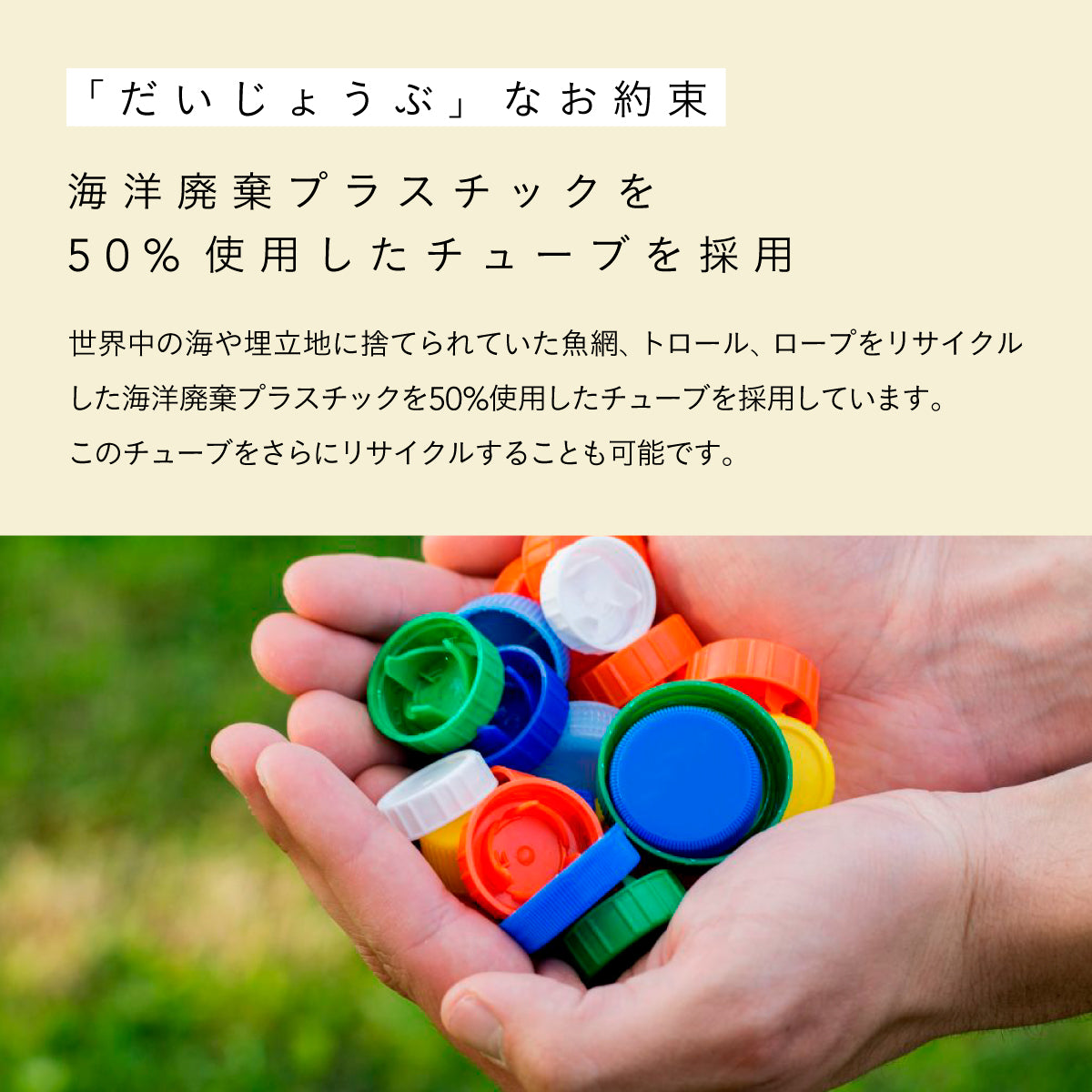 だいじょうぶなもの マグネシウム トゥースペーストドラゴンブラッド 20g