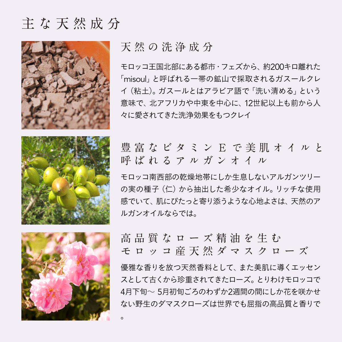 ROSE DE MARRAKECH クレイシャンプー プレミアム 400g