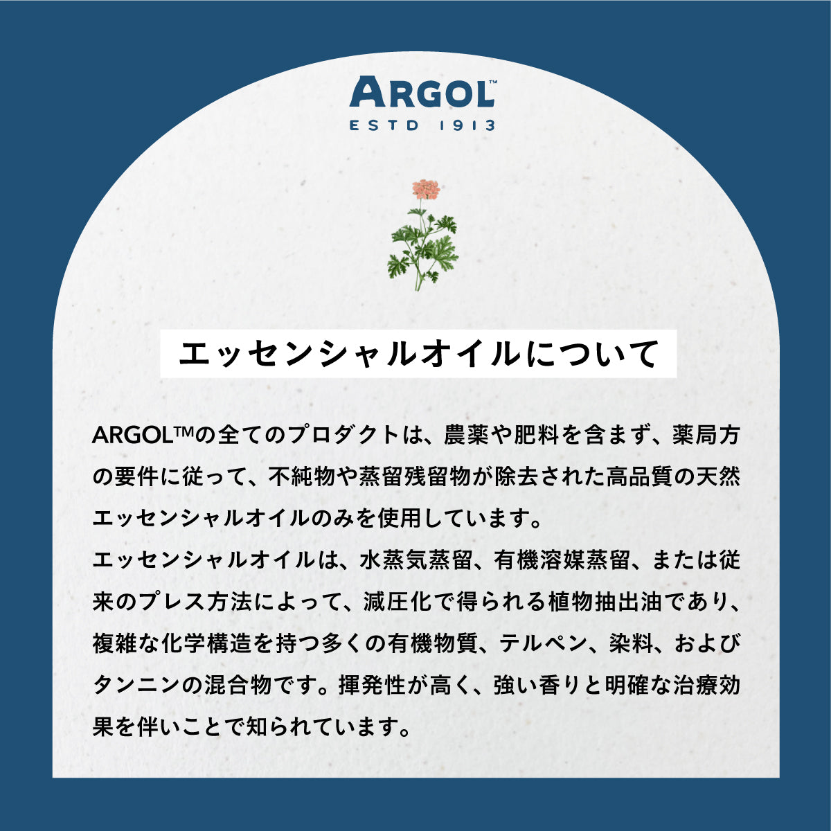 ARGOL マッスルサルヴ 40g