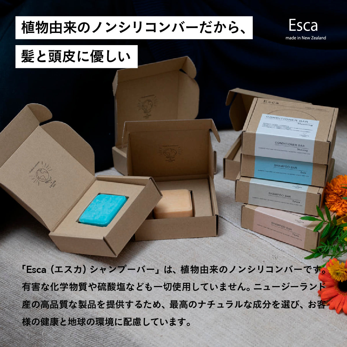 Esca シャンプーバー Tierra ティエラ – amasia organic store