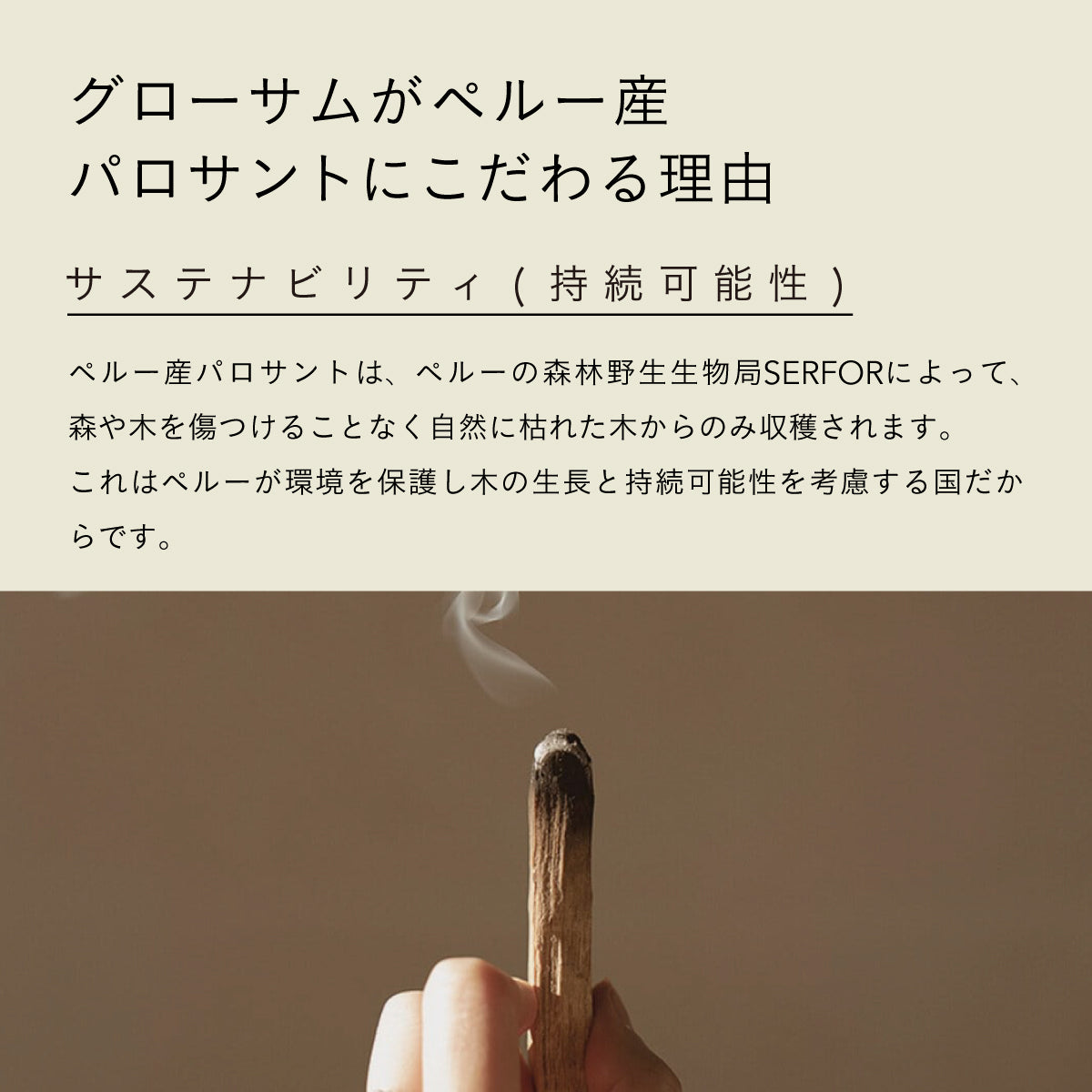 GLOSOME パロサントインセンス 10g