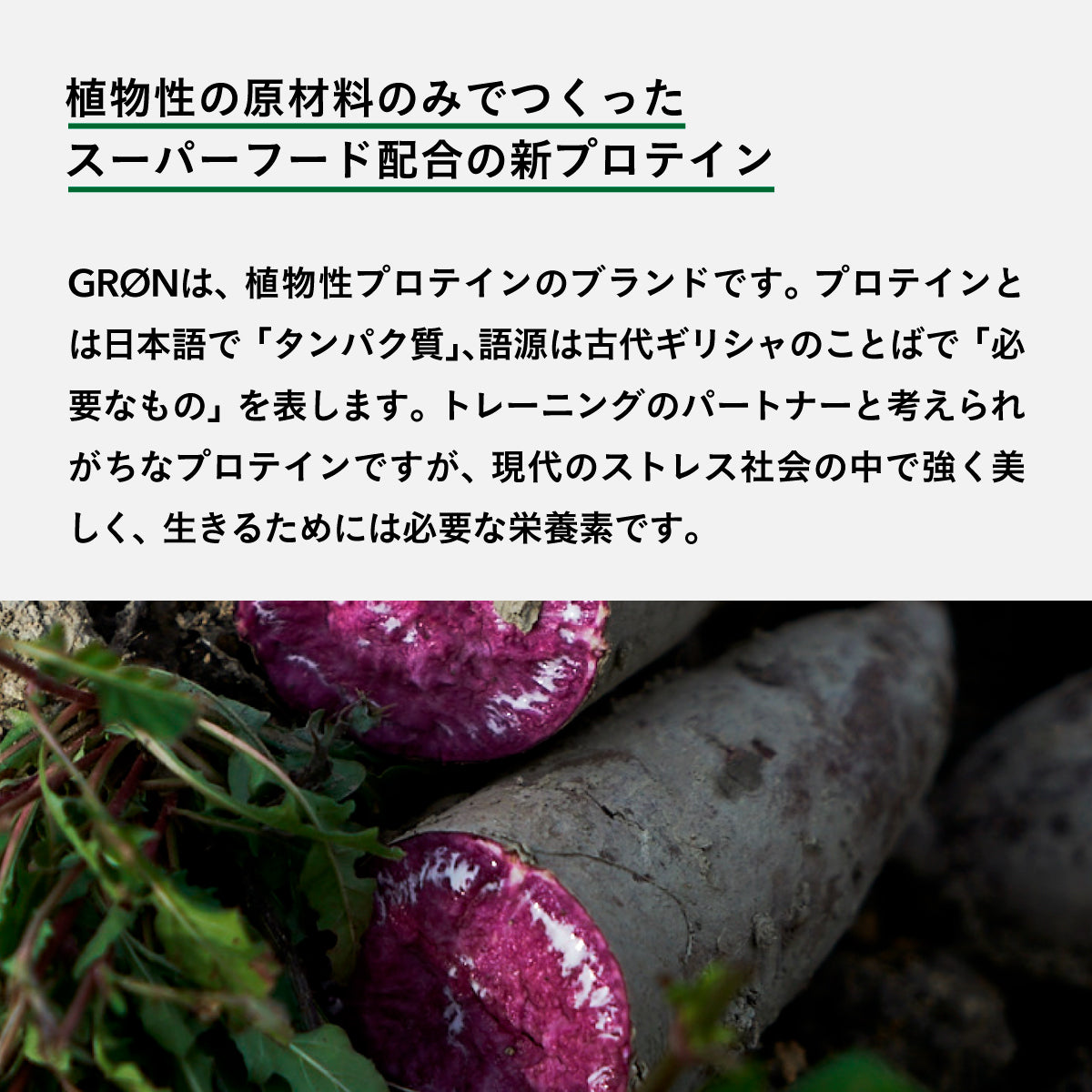 GRON プロテインブレンド (ゴールデンウォーリアー) 20g – amasia organic store