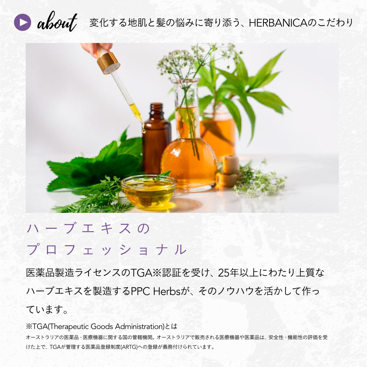 HERBANICA シャンプー500ml (ハーブ＆ラベンダー)　