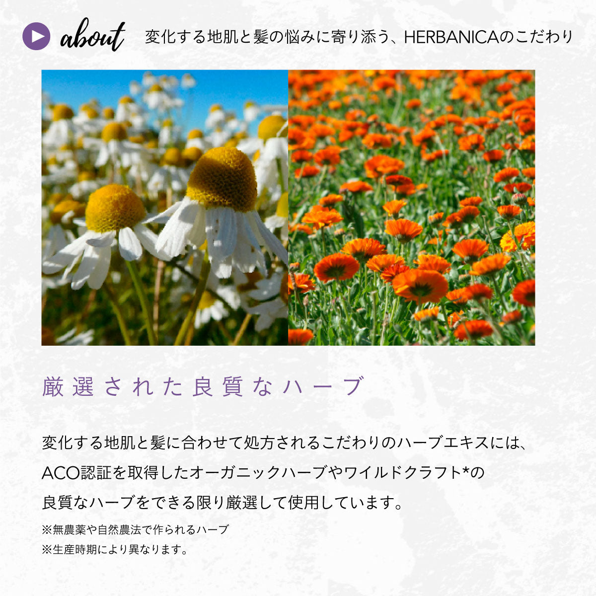 HERBANICA コンディショナー500ml (ハーブ＆ラベンダー)　