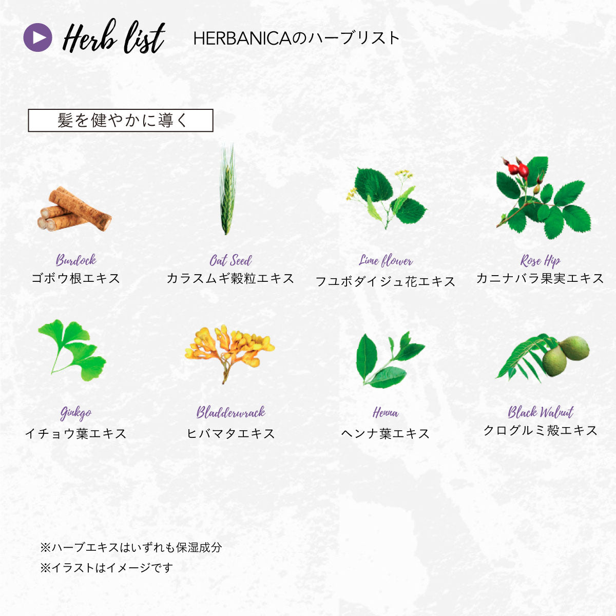 HERBANICA シャンプー&コンディショナーセット (ジェントル)