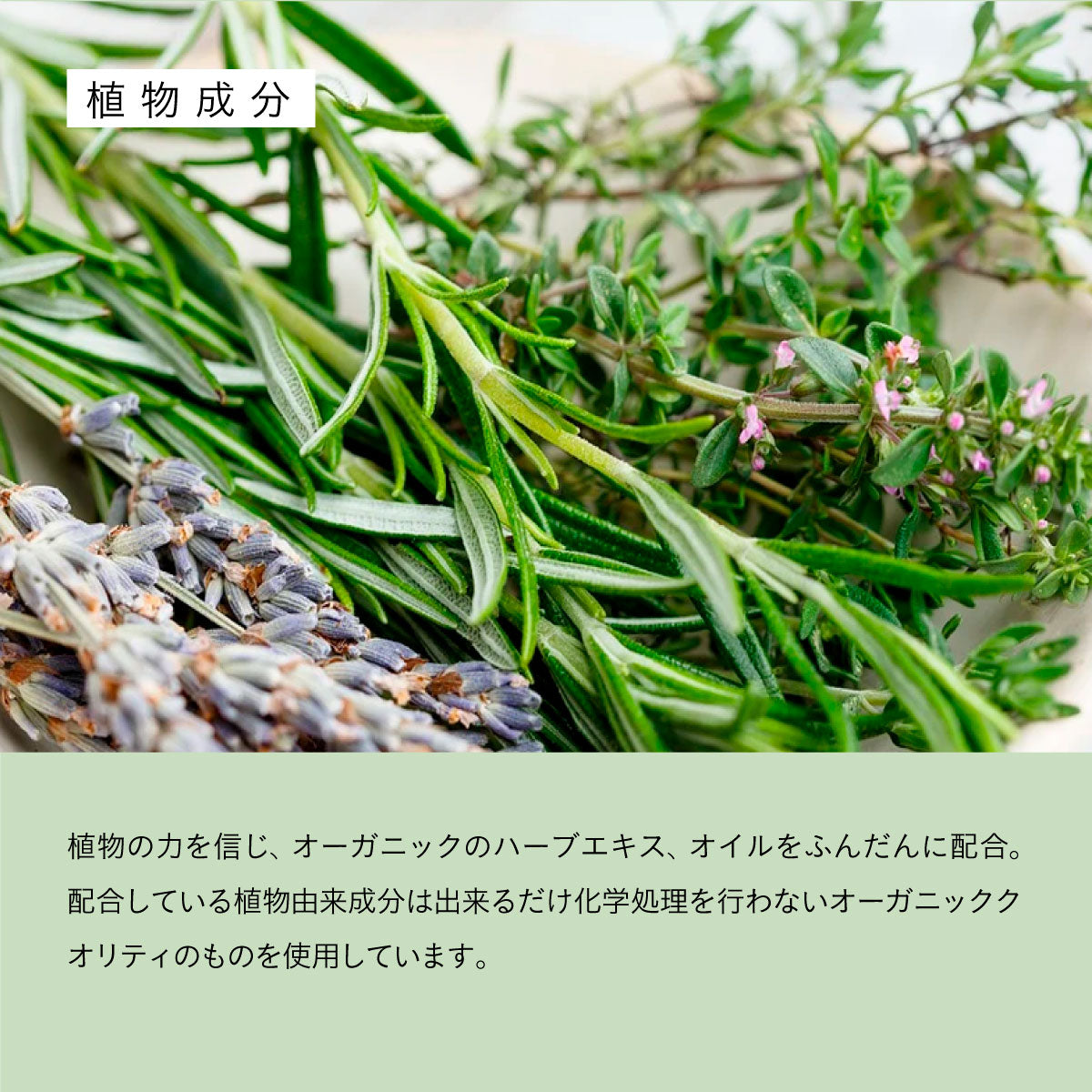 luamo ベーシック シャンプー＆コンディショナー