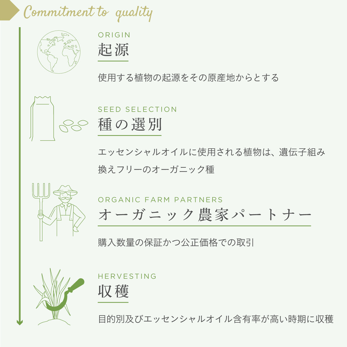 プリマヴェーラ ブレンドエッセンシャルオイル 5ml  「バランス」