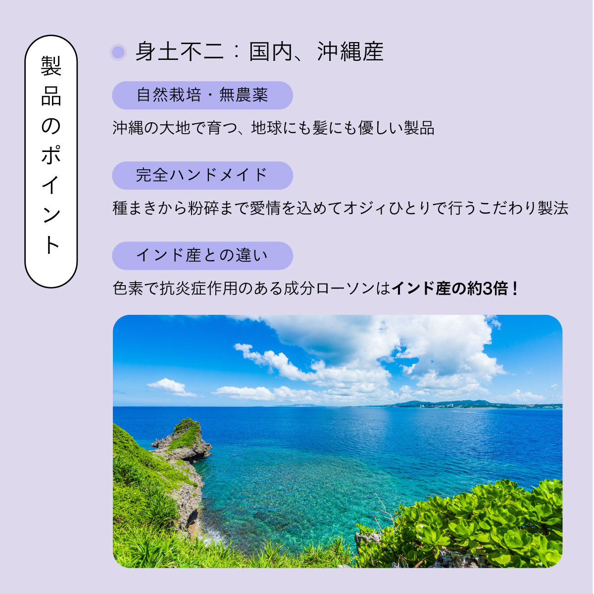 Revitalise Henna 150g 詰替用