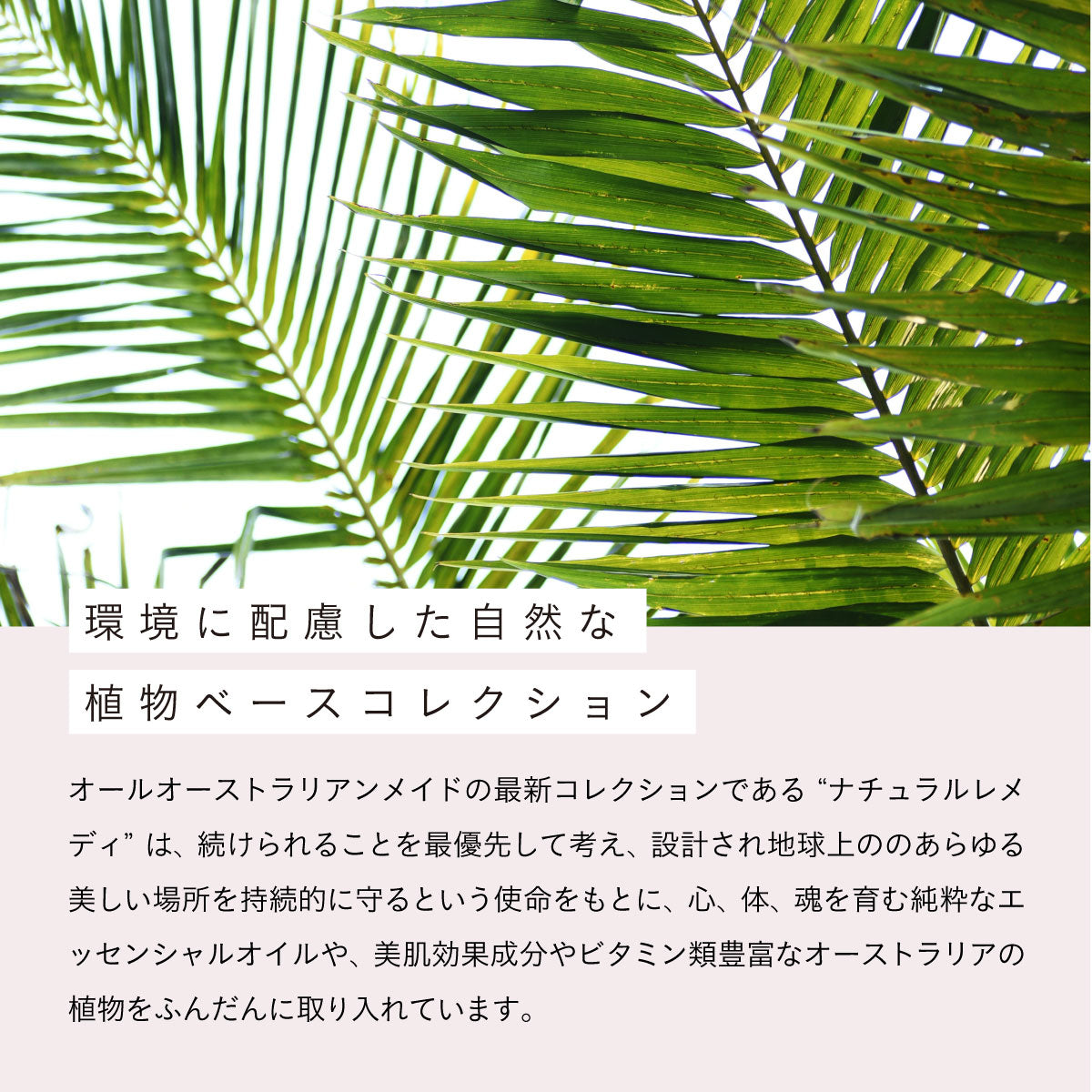 Urban Rituelle NRシリーズ ナチュラルボタニカルパフューム10ml カルダモン、シダーウッド＆ベチバー