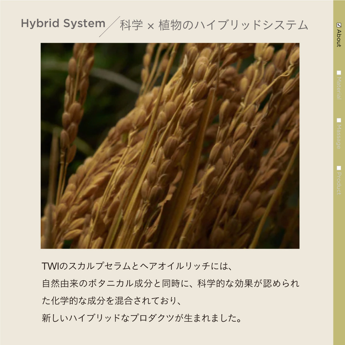 YUMEDREAMING ヘアオイル  30ml