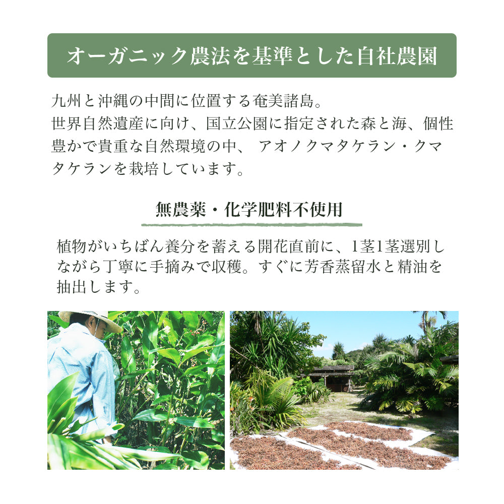 アルファピニ パウダーウォッシュ 40g 3本セット