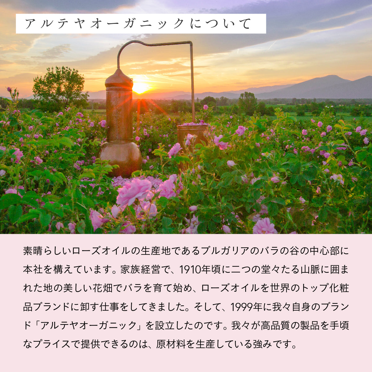 ALTEYA ORGANICS ブルガリアンローズローション 100ml