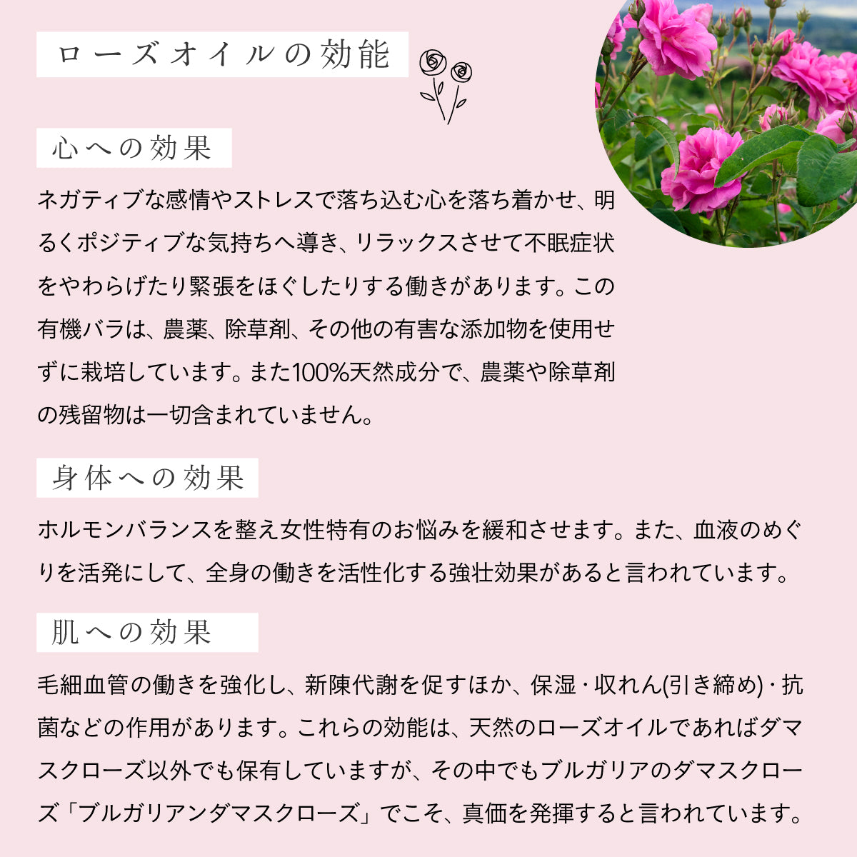 ALTEYA ORGANICS ブルガリアンローズウォーター 100ml